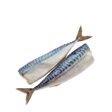 Скумбрия Гренландская неразделанная без головы свежемороженая короб, ~15кг