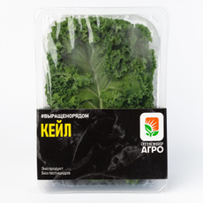 Салат Кейл, 100г