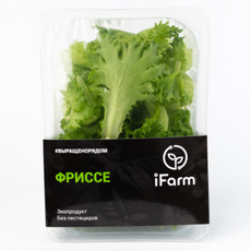 Салат Ifarm фриссе срез, 100г