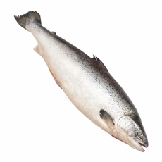 Лосось Мурманск ORD потрошенный охлажденный, ~5-6 кг