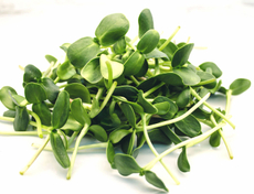 Микрозелень Подсолнечника, 350г