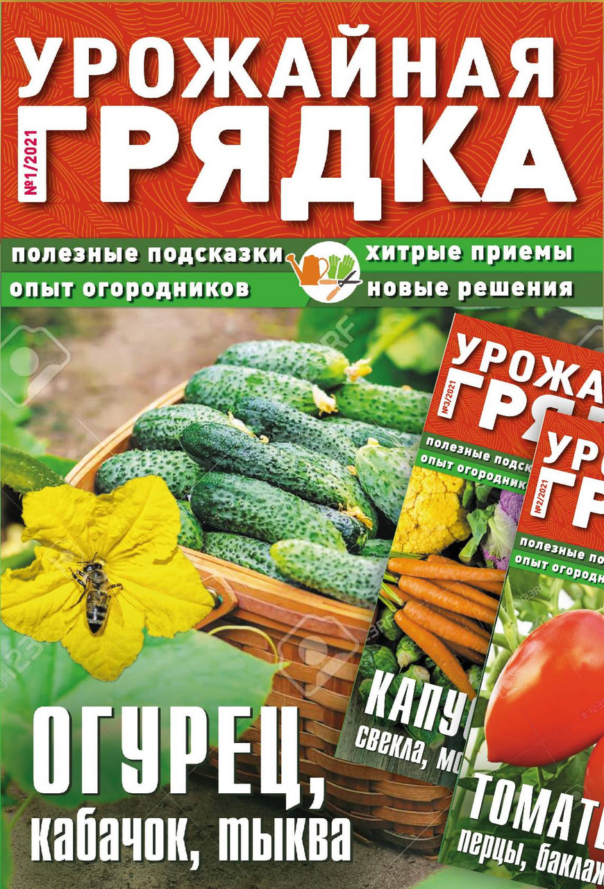 Журнал Газетный мир Урожайная грядка