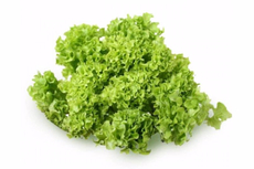 Салат Зелёная республика Лолло Бионда, 100г