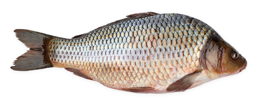 Карп потрошеная без головы охлажденный, ~2кг