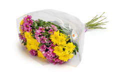 Букет Florentika хризантема кустовая, 15шт цветовая палитра в ассортименте