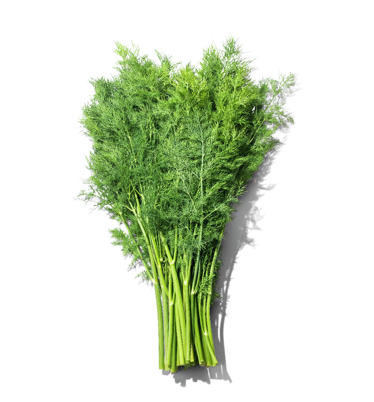 Укроп свежий весовой