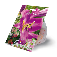 Саженцы для выращивания лилий Пепл Леди, 150г