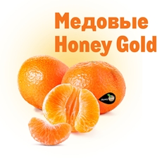 Мандарины Honey Gold медовые