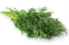 Укроп, 70г
