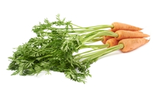 Морковь ранняя с зеленью