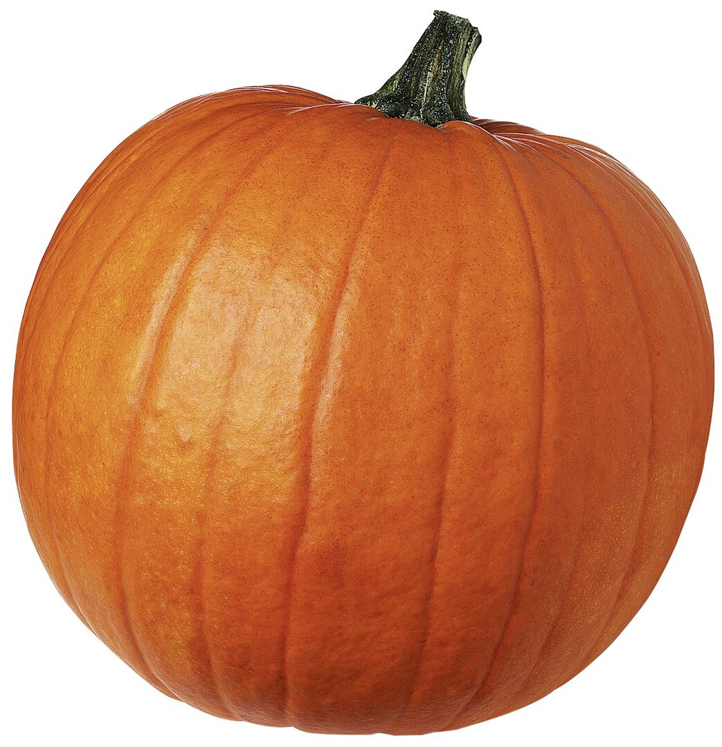 Изображение товара Тыква Хэллоуин яркая для украшения и кулинарии 1 шт