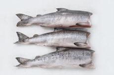 Кета Вкусарт потрошеная без головы свежемороженая, ~14кг