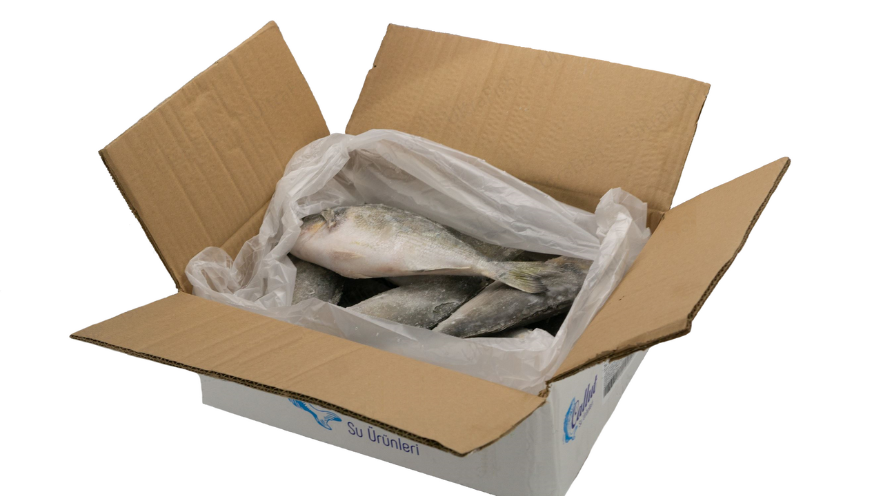 Дорадо неразделанная свежемороженая 300/400 короб, ~5кг