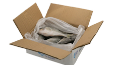 Дорадо неразделанная свежемороженая 300/400 короб, ~5кг