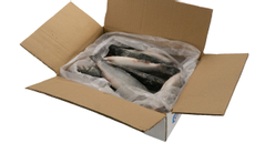 Сибас Вкусарт неразделанный свежемороженый 300/400 короб, ~5кг