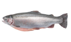 Форель радужная потрошеная с головой охлажденная, ~2кг