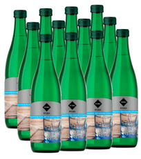 RIOBA Вода минеральная столовая газированная, 500мл x 12 шт