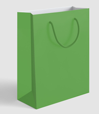 Сумка бумажная As болотная Радуга, 20x24x10см