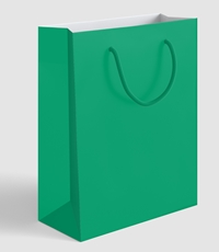 Сумка бумажная зеленая Радуга As, 26x32x12см