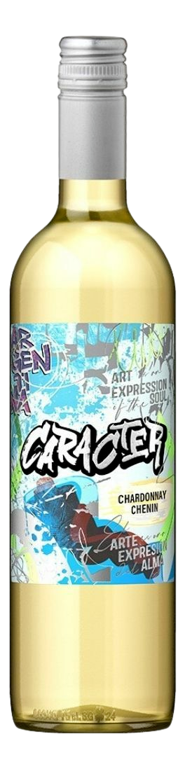 Вино Bodegas Santa Ana Caracter Chardonnay-Chenin белое сухое, 0.75л