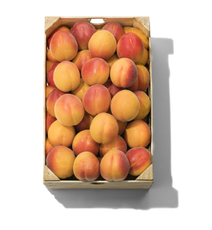 Абрикосы сезонные