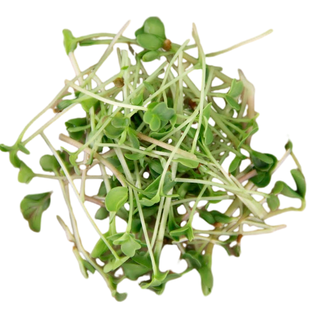 Смесь Проростков и Микрозелени Женское Здоровье, 100г