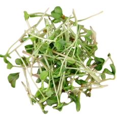 Смесь Проростков и Микрозелени Женское Здоровье, 100г