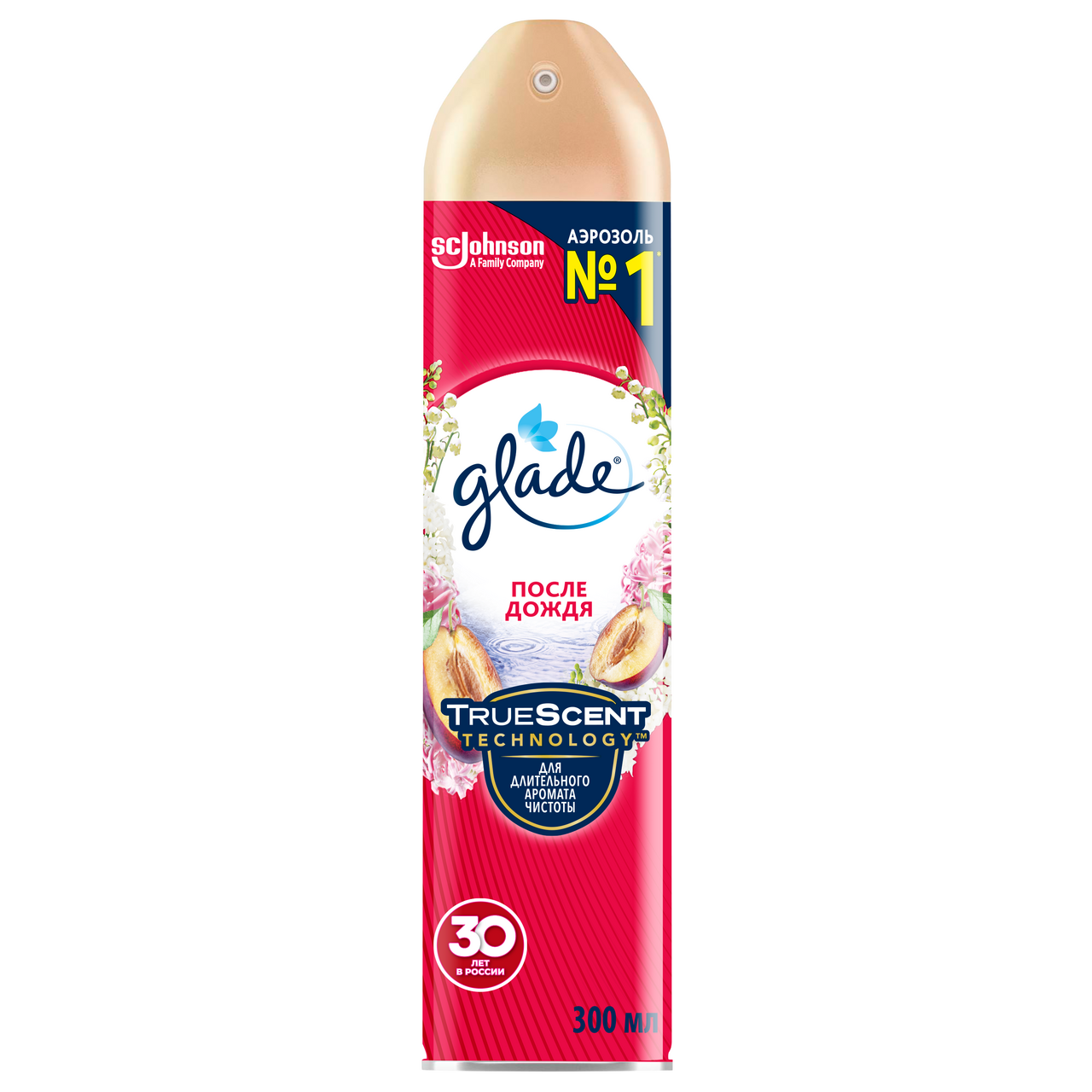 Освежитель воздуха Glade 5 в 1 После дождя, 300мл