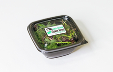 Микрозелень Гурман Green микс горох мадрас, подсолнечник, 40г