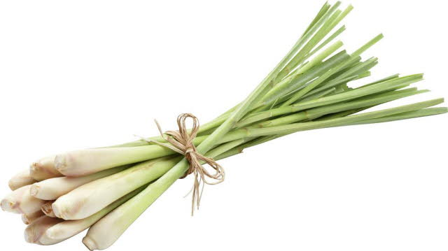 Лимонник, 100г