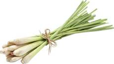 Лимонник, 100г