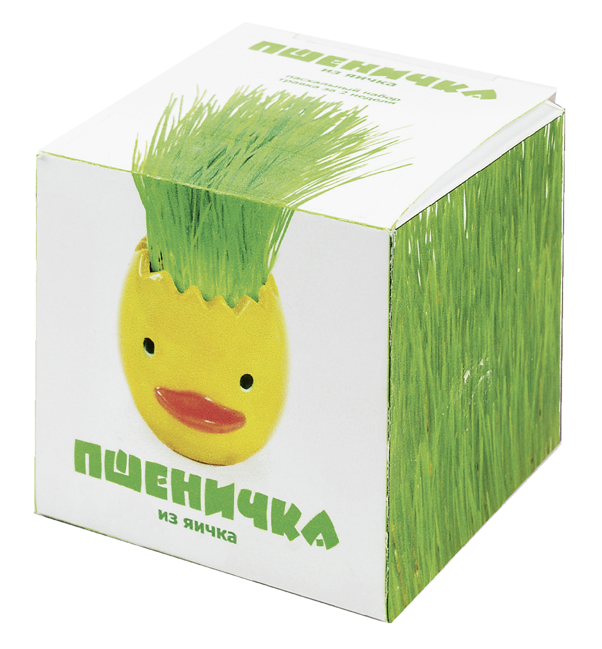 Набор Домашняя кухня пшеничка из яичка, 90г