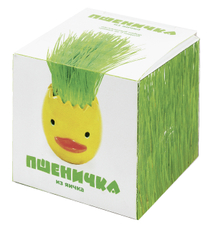 Набор Домашняя кухня пшеничка из яичка, 90г