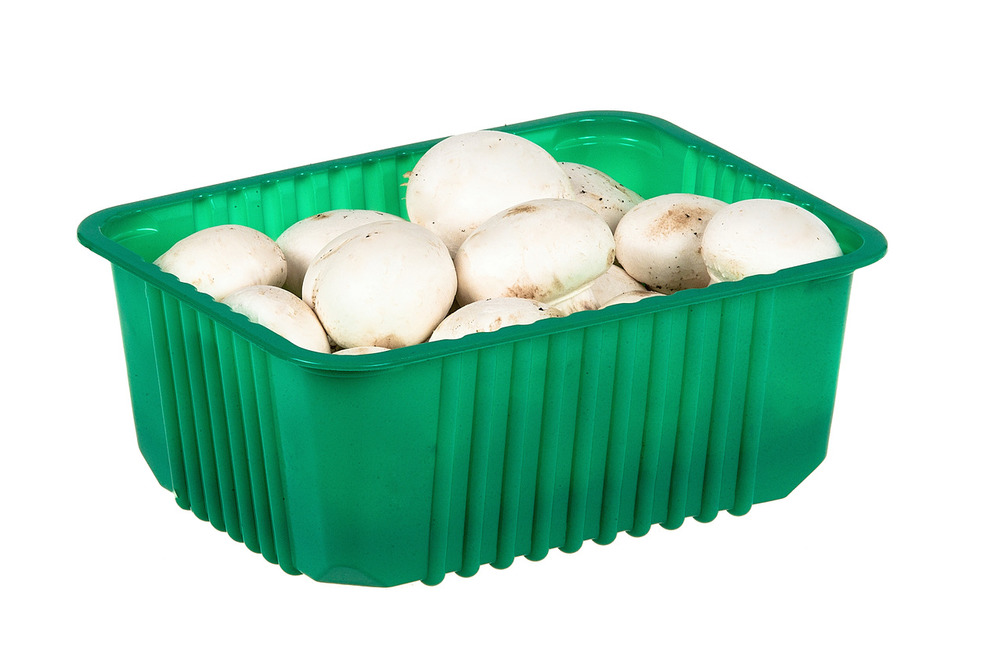 Шампиньоны мини лоток, 250г