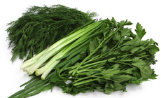 Ассорти зелени Зеленая Грядка 150г