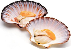 Гребешки в раковине