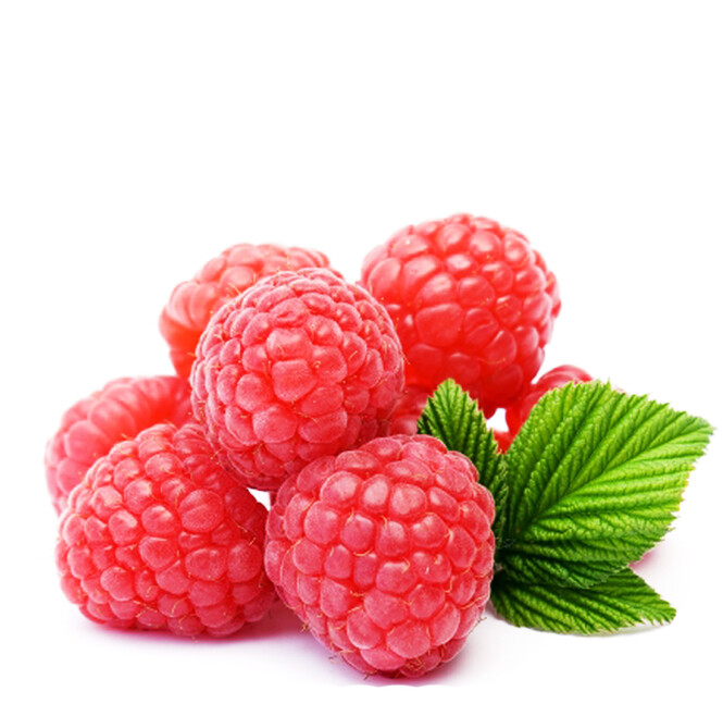 Малина весовая