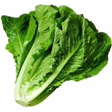 Салат Романо, 50г