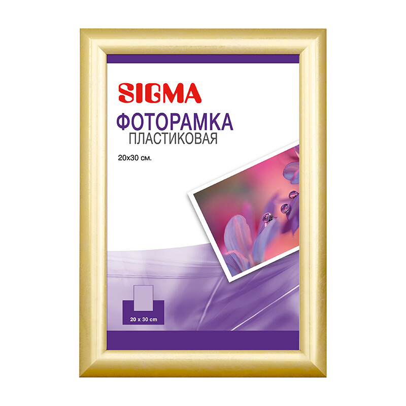 SIGMA Фоторамка золотая, 20 x 30см