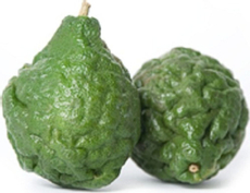 Лайм каффирный