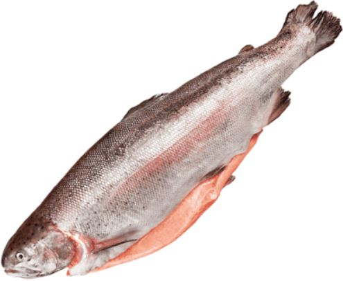 Форель радужная Красное мясо