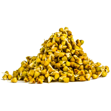 Микрозелень семян гречки, 150г