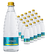 Вода San Bernardo Frizzante природная газированная, 330мл x 24 шт