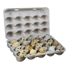 Яйцо перепелиное, 20шт