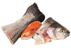 Лосось Чили набор для ухи, ~1кг