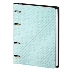 Тетрадь Infolio Мятный кольцевой механизм А5 120 листов