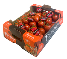 Томаты Фламенко сливка на ветке