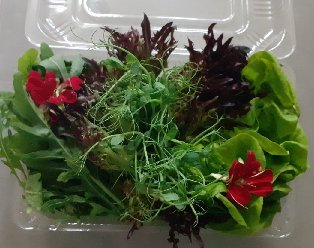 Микс салатный с цветами, 100г