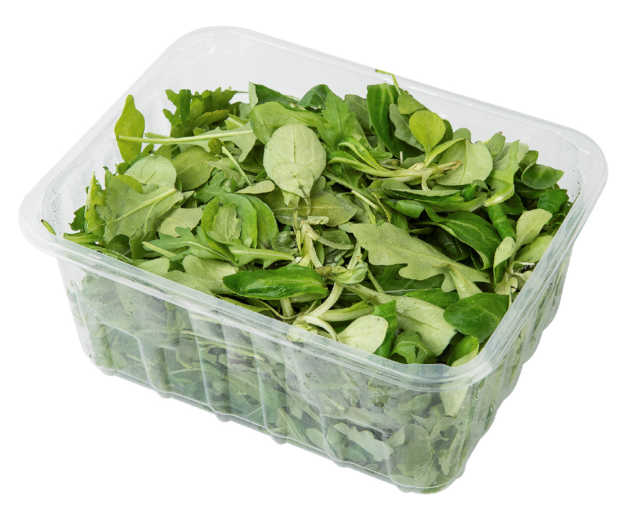 Салат Рукола, 125г