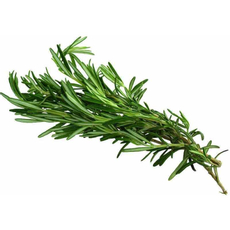 Розмарин Лето 100г